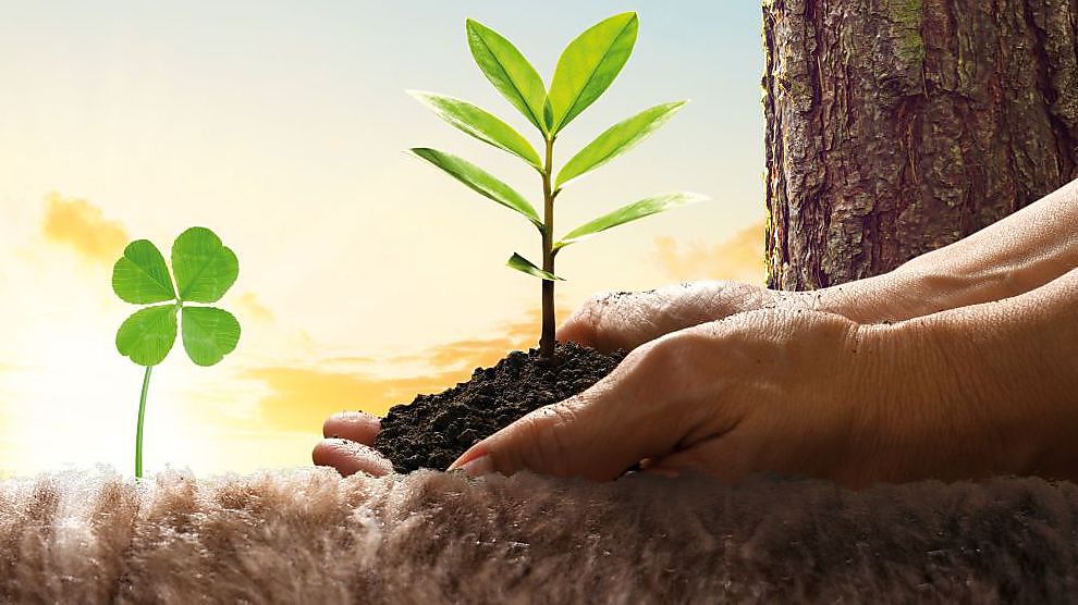 Knauf viert tiende verjaardag product met ‘Plant a tree’-actie