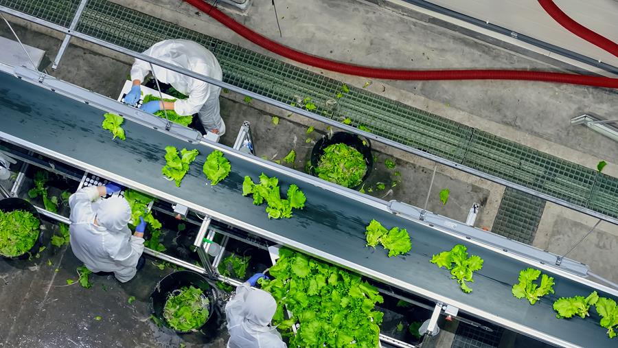 Smeermiddelen voedingsverwerkende nijverheid